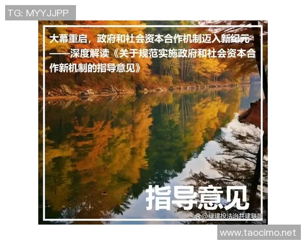 《基于比賽規則的全面解讀與實施細則解析》 《基于比賽規則的全面解讀與實施細則解析》