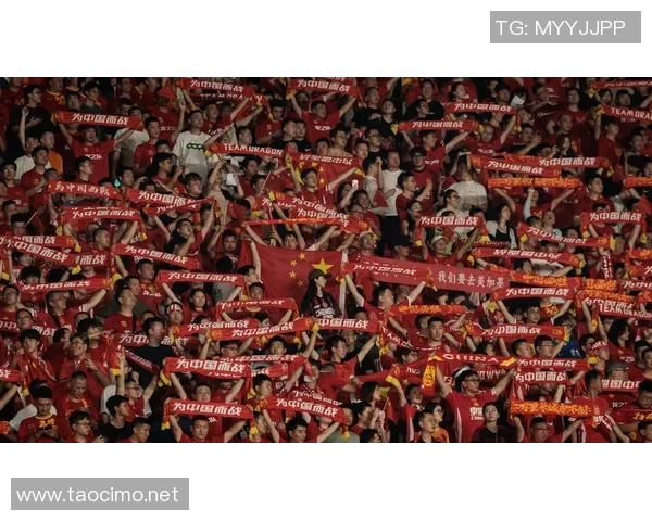 足协改革新举措：推动中国足球全面提升与可持续发展战略