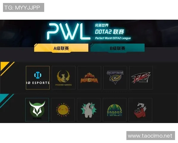 TES战队崛起之路解析:从默默无闻到DOTA2顶尖力量的蜕变与挑战 TES战队崛起之路解析:从默默无闻到DOTA2顶尖力量的蜕变与挑战