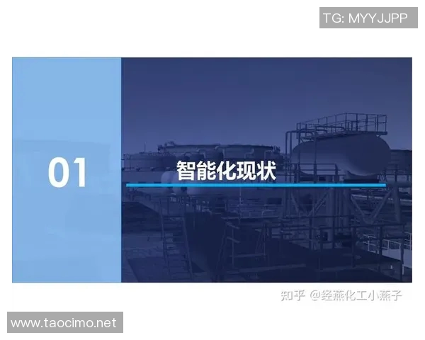 广州攀岩队运营分析:成功经验与面临挑战的深度探讨 广州攀岩队运营分析:成功经验与面临挑战的深度探讨