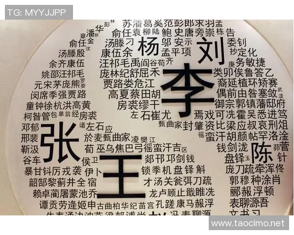 中国足球明星底薪排名揭晓谁是薪资最高的球员及其背后的故事 中国足球明星底薪排名揭晓谁是薪资最高的球员及其背后的故事