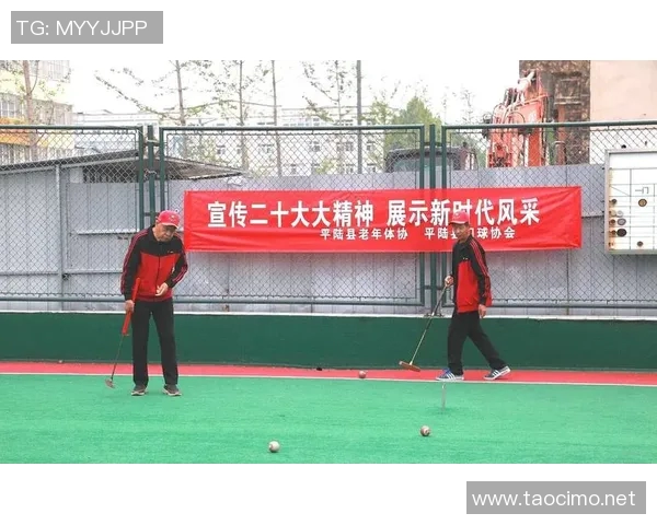 北京网球队的运营模式与发展策略深度分析与探讨 北京网球队的运营模式与发展策略深度分析与探讨
