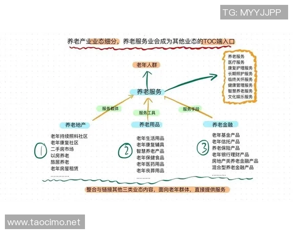 北京羽毛球队转型之路的挑战与机遇全景解析 北京羽毛球队转型之路的挑战与机遇全景解析